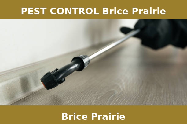 PEST CONTROL Brice Prairie